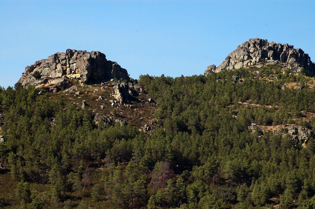 Casa Dos Lagares De Vara E Pedra Vila Flor Kültér fotó